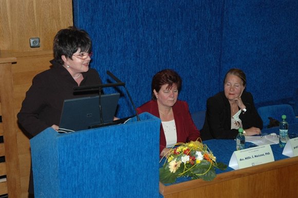 dsc 1558